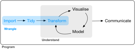 Data tidying in the data processing pipeline. Reproduced from [R for Data Science](http://r4ds.had.co.nz/workflow-basics.html)